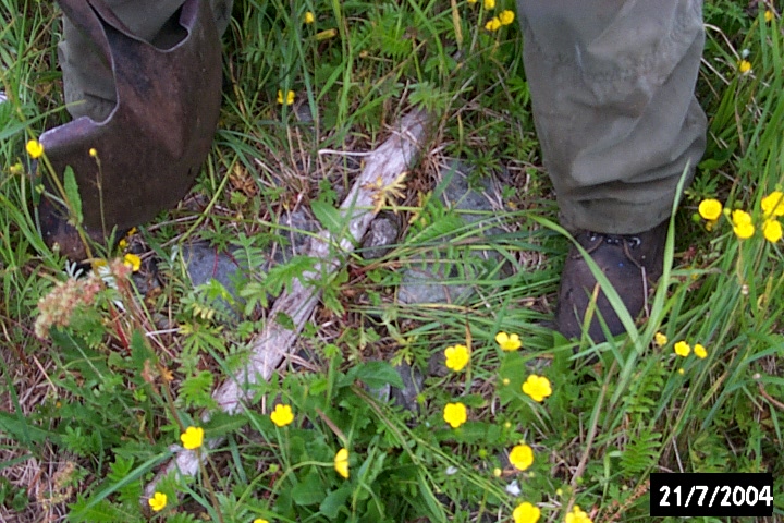 Remains of a galet under the present meadow